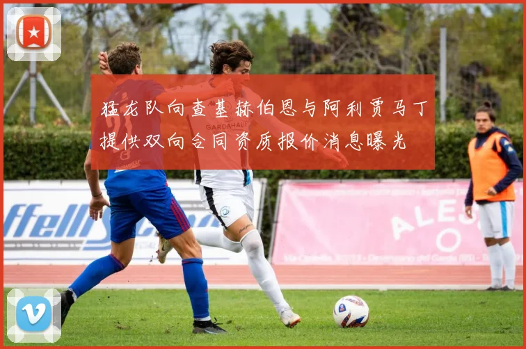 猛龙队向查基赫伯恩与阿利贾马丁提供双向合同资质报价消息曝光